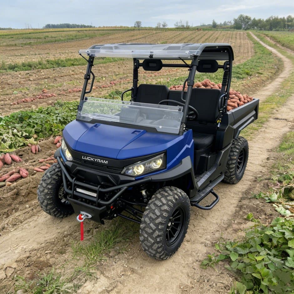 73.6V 4WD UTV 10kw AC মোটর EPS স্টিয়ারিং 150ah ব্যাটারি