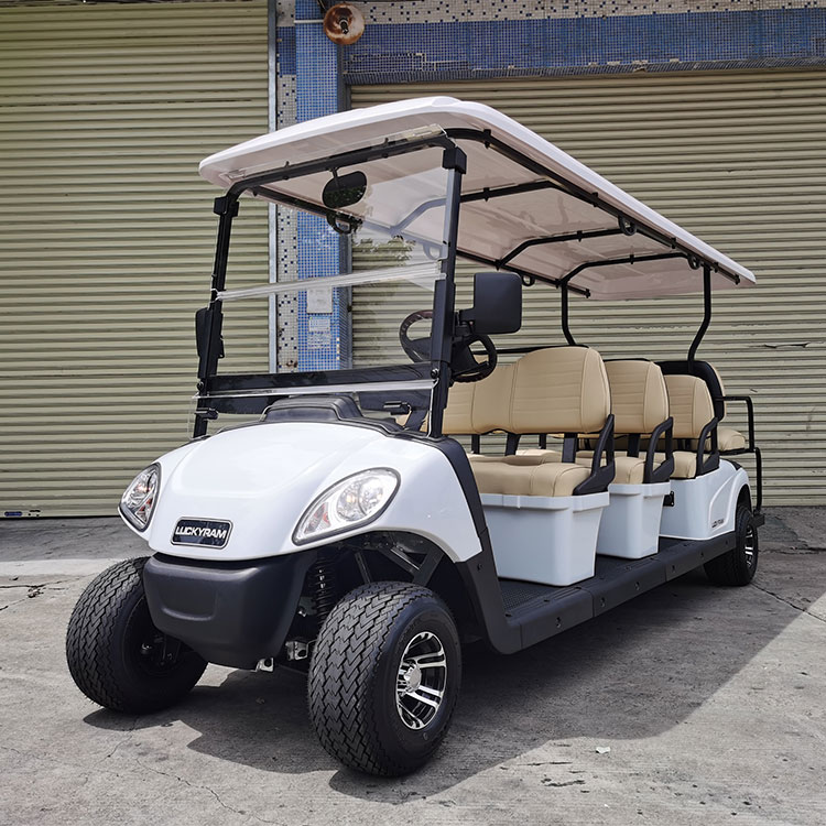 Electric Sightseeing Car